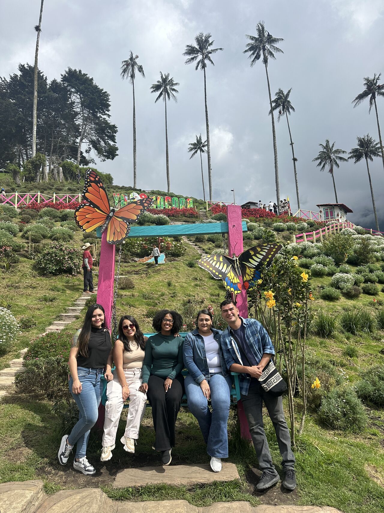 Rooted Raíces retreat — Valle del Cocora