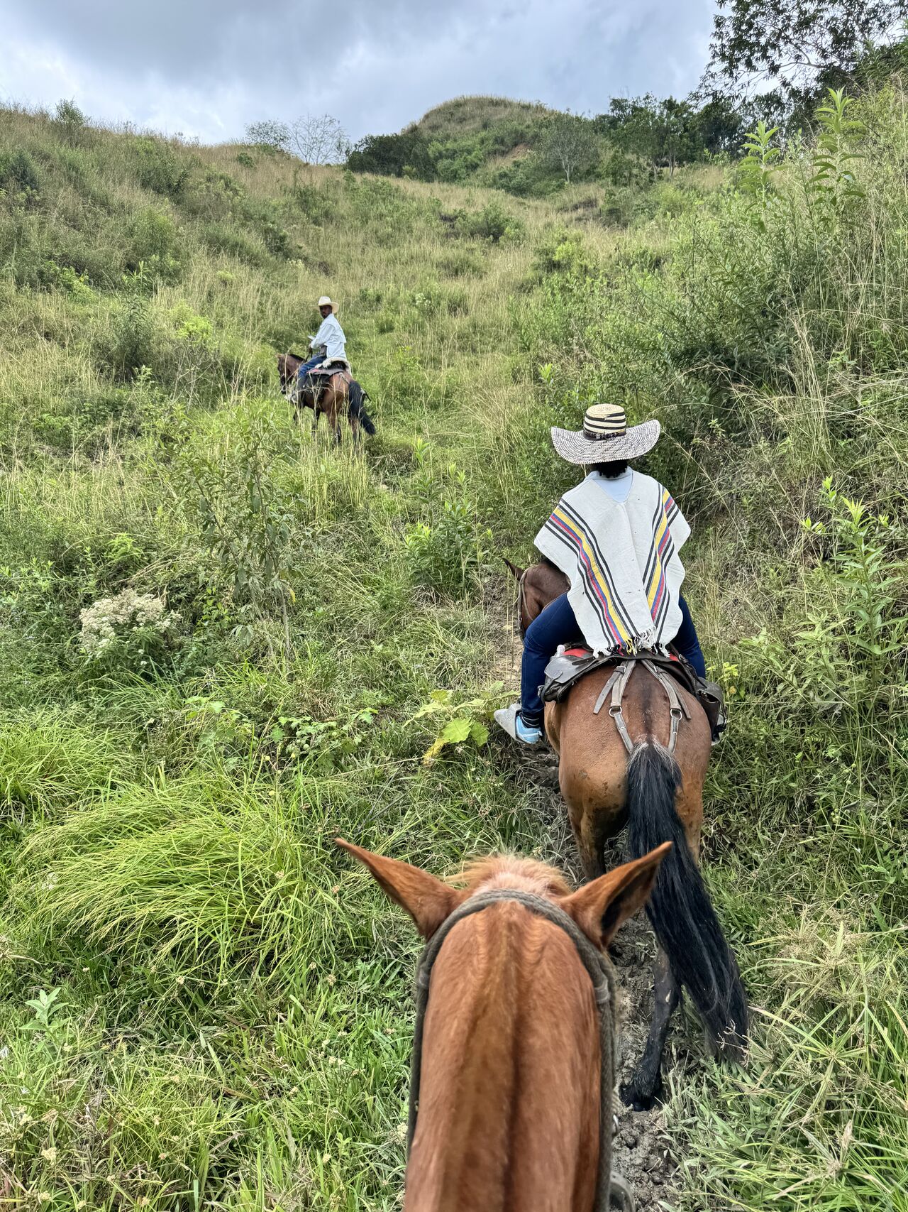 Rooted Raíces retreat — Horseback riding